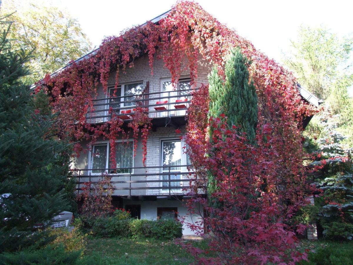 Pokoje I Apartamenty Przy Sosnowej Poddąbie Εξωτερικό φωτογραφία